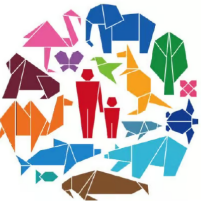 Concours d’Origamis – Ecole du Rhin