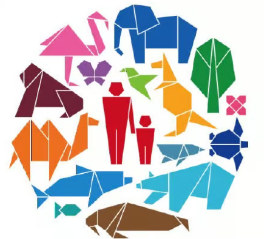 Concours d’Origamis – Ecole du Rhin